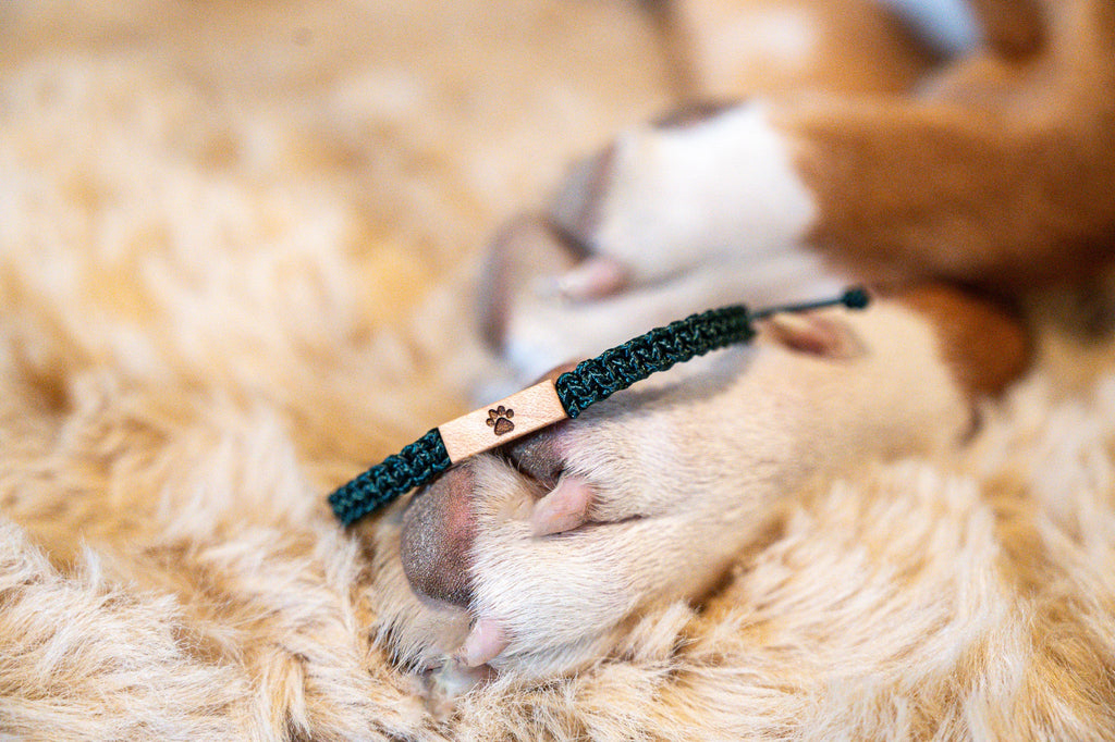 Pet Paw Print Wood & Macramé Bracelet